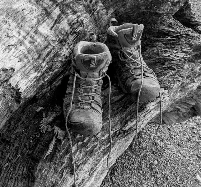 Photo taken by Colette Rathke showcasing boots hanging from a tree